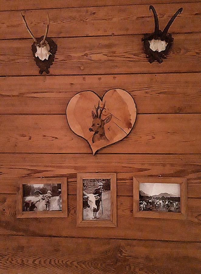 Berggasthof Karntner Alm Hotel Митенвалд Екстериор снимка